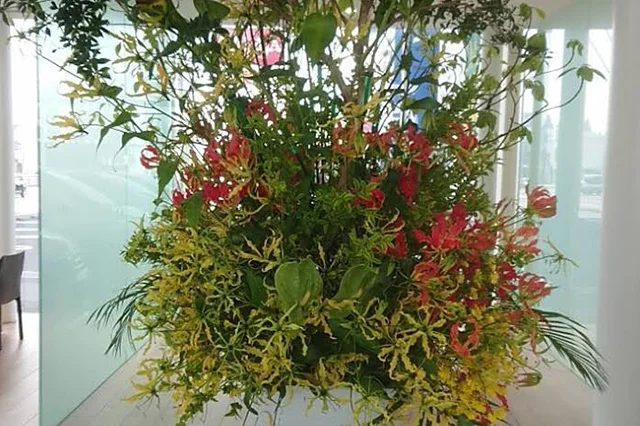 ガラスの器に季節の花を活けた卓上フラワーアレンジメント