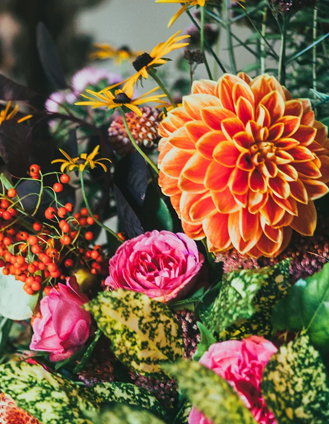 赤、黄、紫、白の花を束ねた色鮮やかな花束