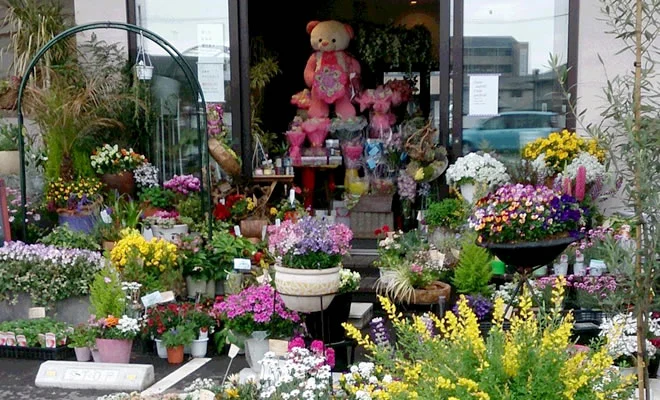 Y's flower岡山店 店内の様子1
