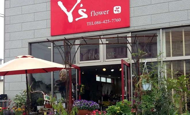 本店の花 1